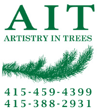 Artistry In Trees